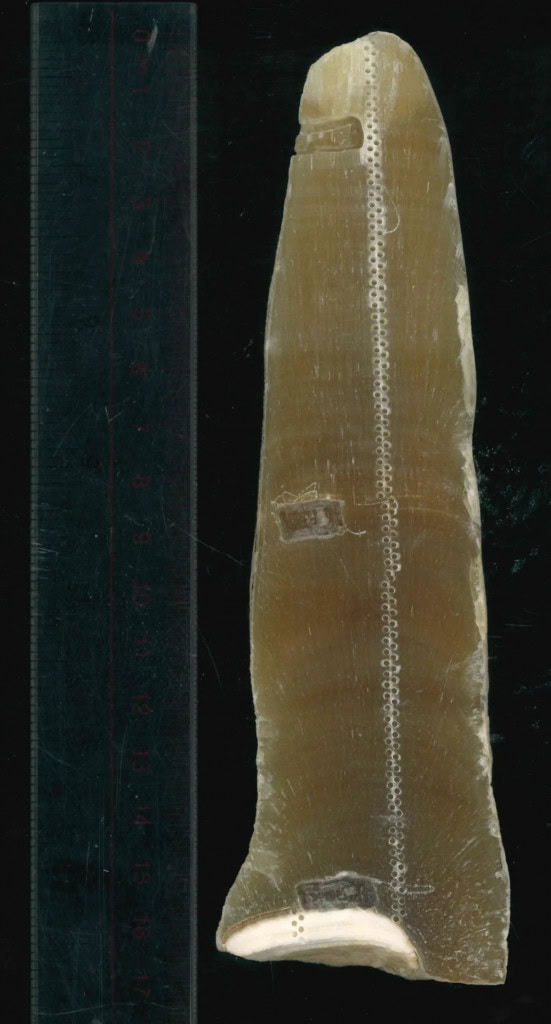 estalagmite-551x1024-1