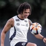 55058798486_e4b8ba5b6c_o-150x150-1