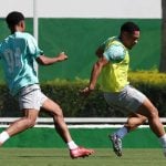 13042026_cg_palmeiras_7314_27_Easy-Resizecom_-150x150-1