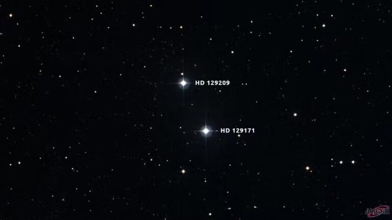 estrelas-estudo-brasileiro