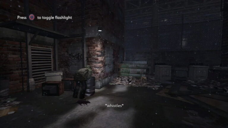 sccovyjpg